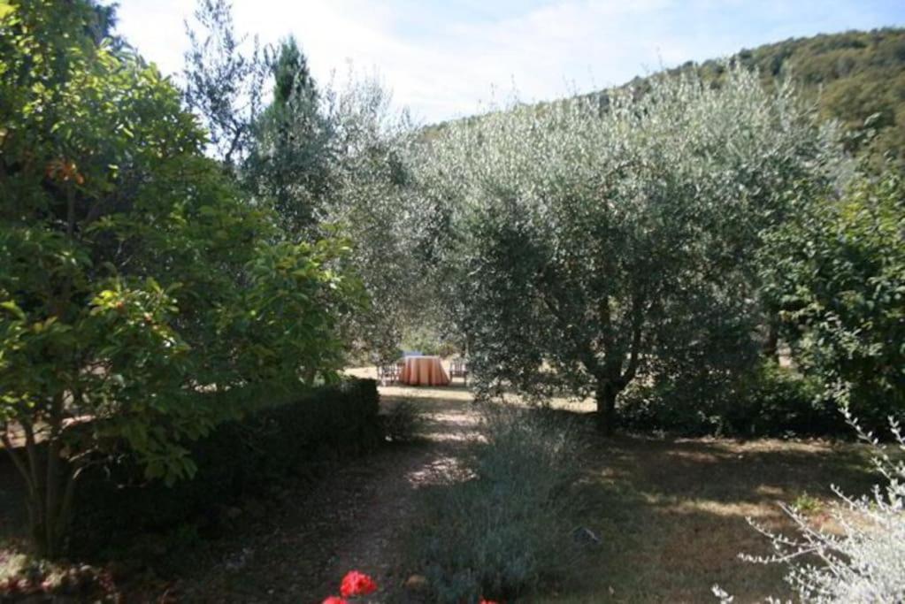 Vila Podere Gli Oppi Toscana Petroio Exteriér fotografie